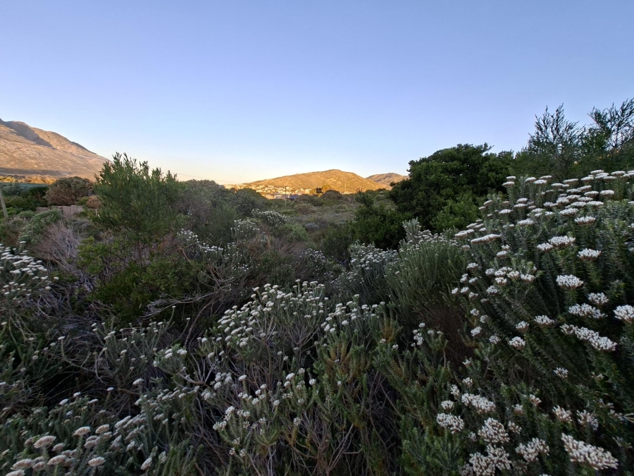 0 Bedroom Property for Sale in Pringle Bay Western Cape